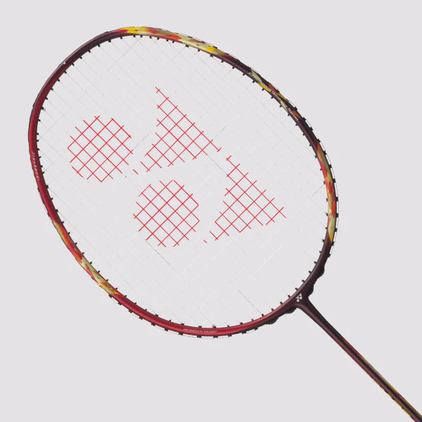 YONEX ASTROX 22 RX